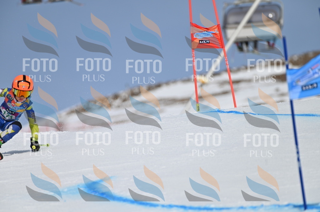 BGV_3373 | holidayphoto