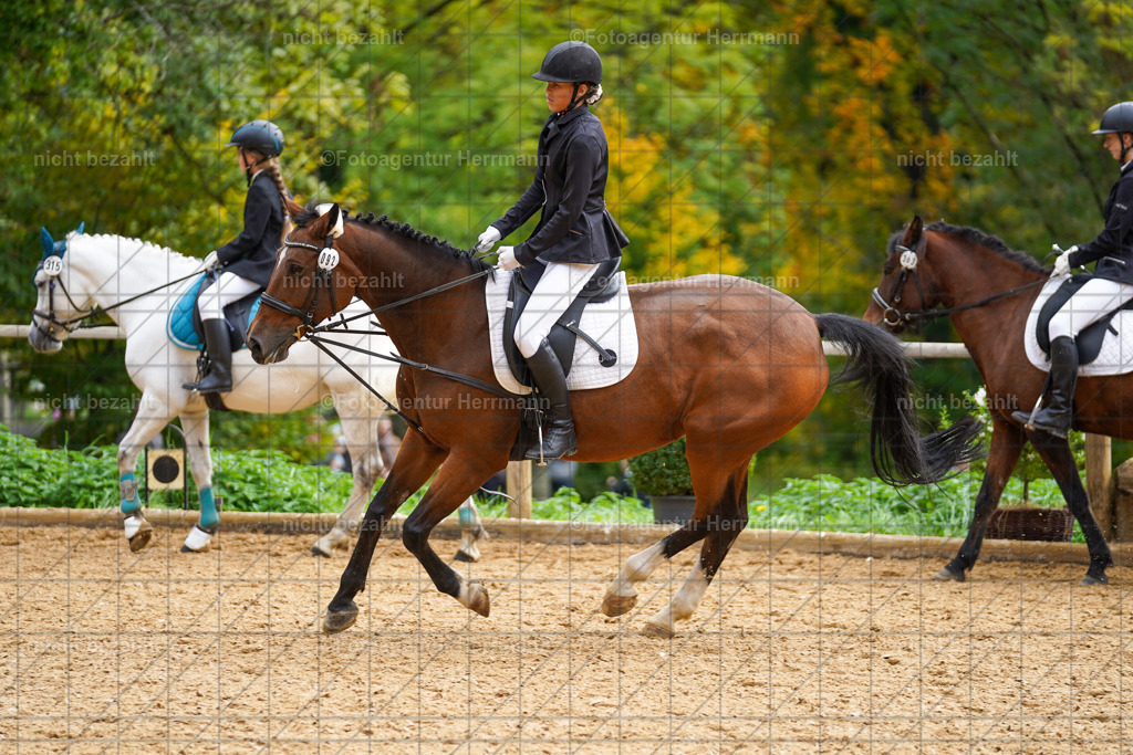 20221008-FAH01254 | Diessen am Ammersee, 2022, Dressur- und Springturnier, Reitsportbilder, Turnierfotografen Bayern, Pferdefotografen, Fotoagentur Herrmann, Turnierbilder