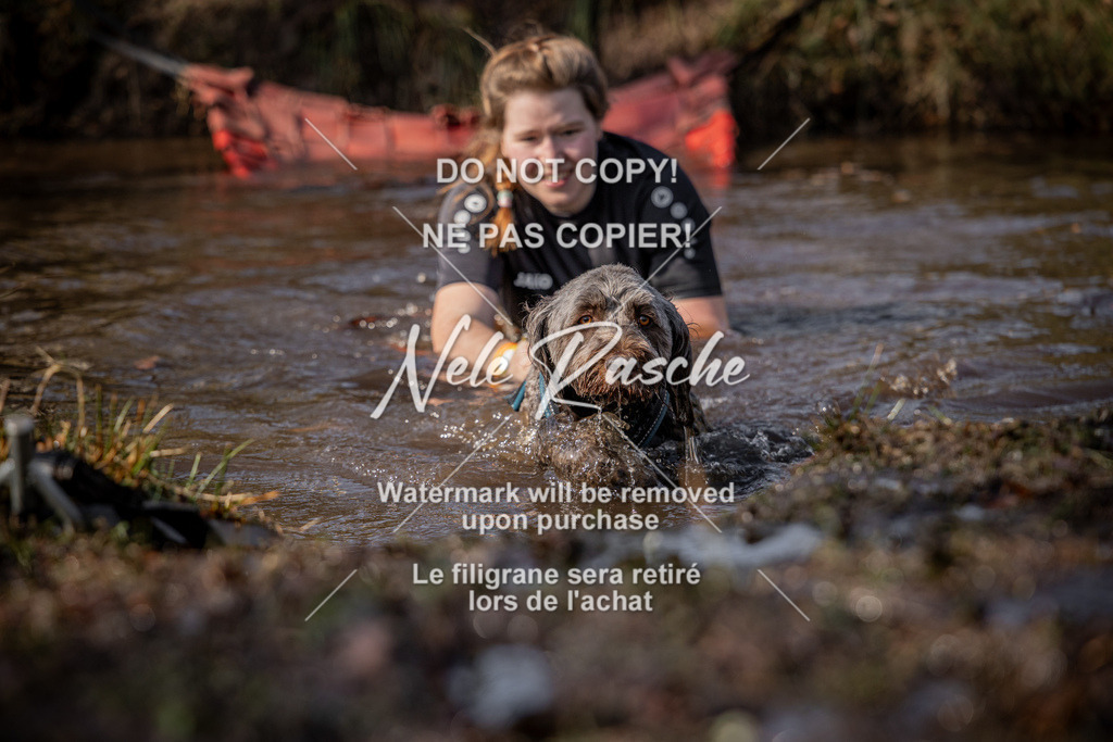 nelerasche_FS1330-1400_436 | nelerasche