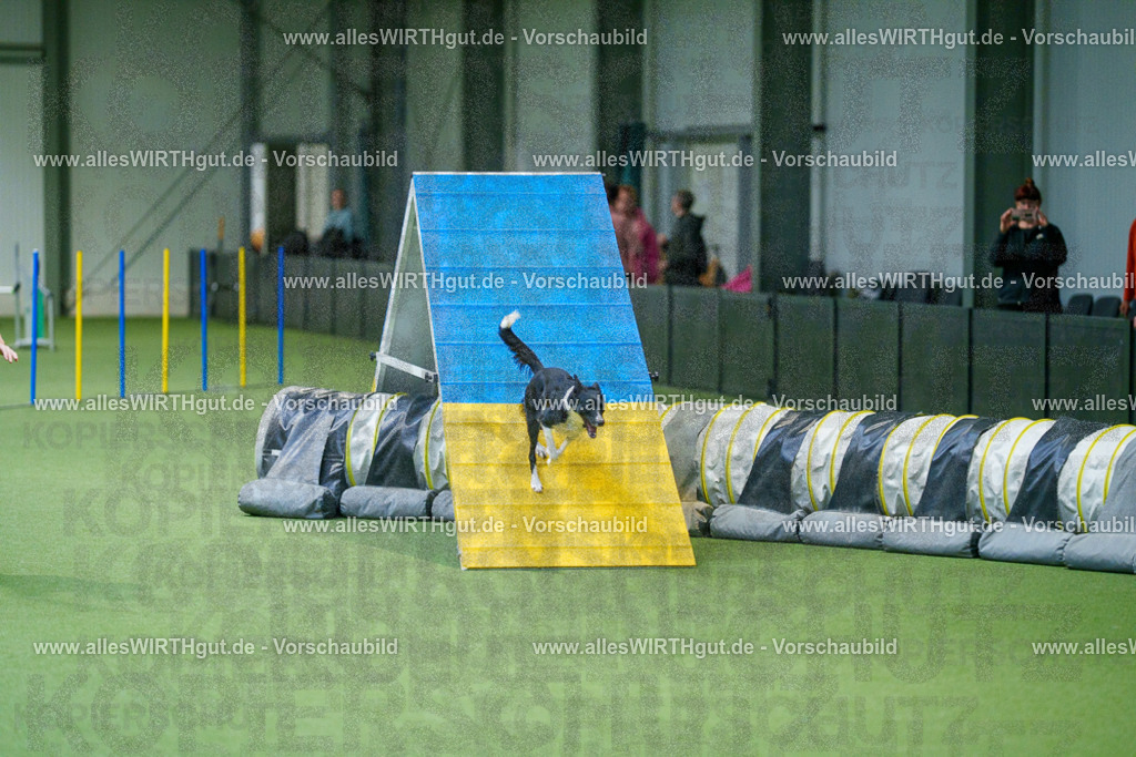 @allesWIRTHgut_Tierfotografie - www.allesWIRTHgut.de - 2604250830-7R506861 | Professionelle Tierfotografie in Mönchengladbach von Daniel Wirth (allesWIRTHgut). Liebevolle & natürliche Bilder von Hunden & Katzen für unvergessliche Erinnerungen.