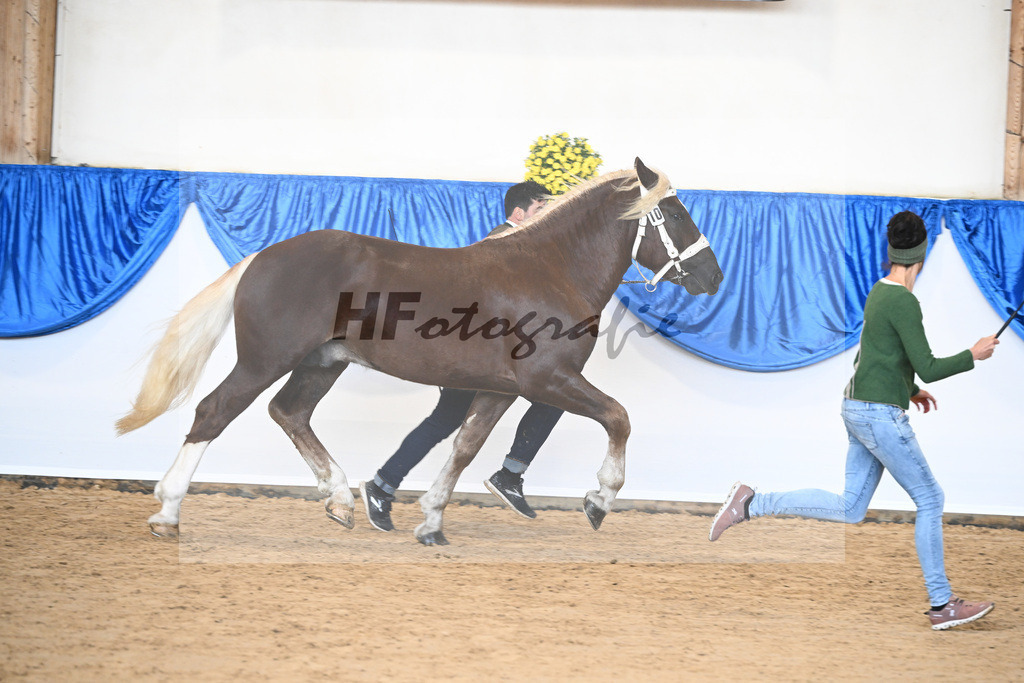 Kat-Nr. 10 Suessbach aus Burggen v. Steinbach von Burggen_Schleich_39250162 | hf-fotografie - Realizzato con Pictrs.com