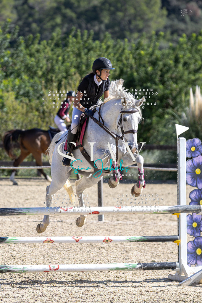 IMG_6532 | s-jay-photography - Realisiert mit Pictrs.com