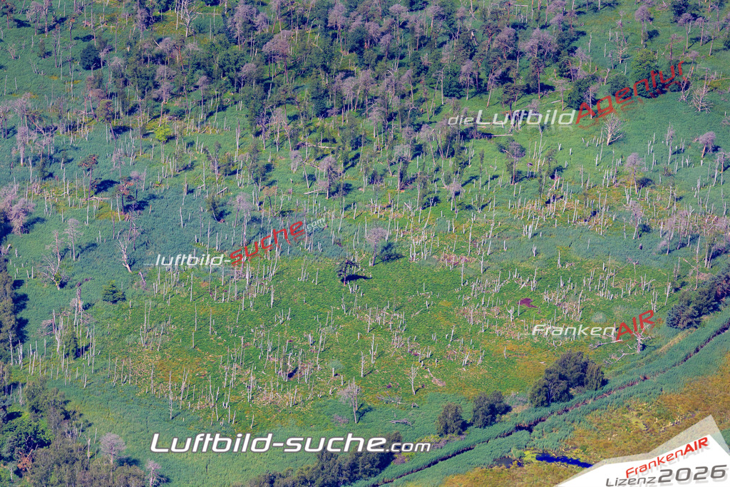 Die Luftbildaufnahme Heiligensee - Moor wurde 2018 mittels Flugzeug (keine Drohne) erstellt. Perfekte Schärfe und Druck- Auflösung- Garantiert!