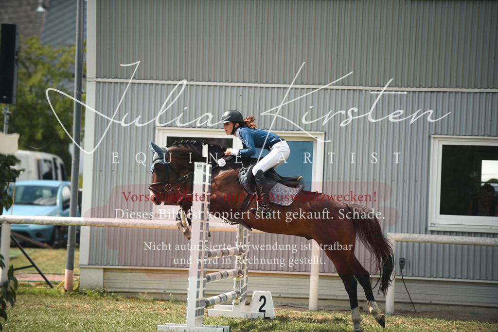 DSC_6763 | Pferde- und Turnierfotografie in Westsachsen. Pferdeportraits, Auftragszeichnungen und intuitive Kunst.