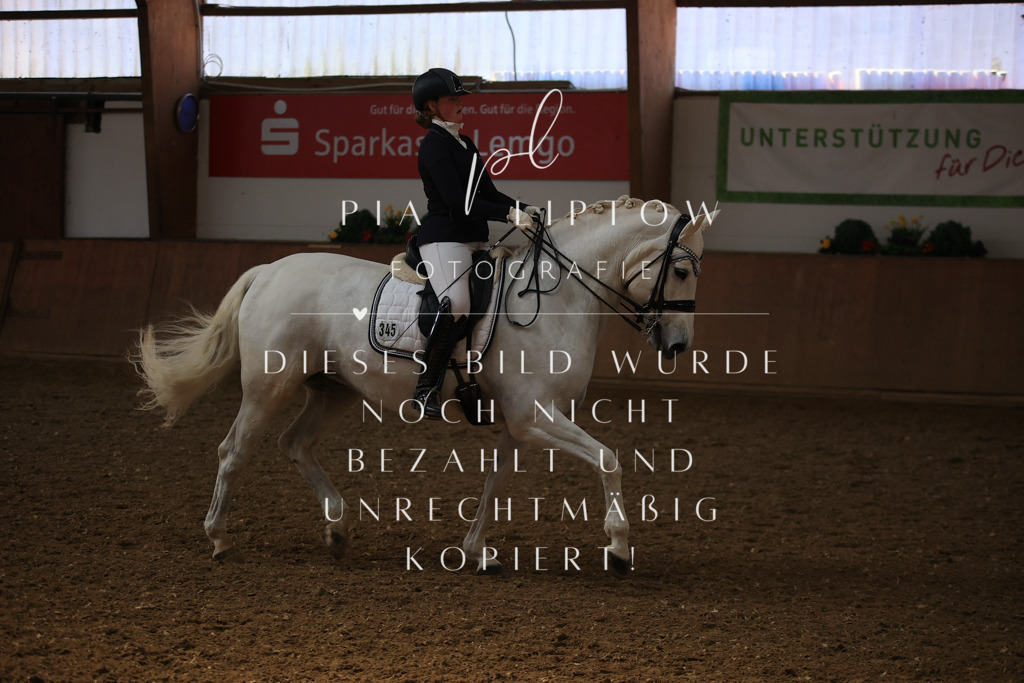 IMGT3642 | pl-fotografie