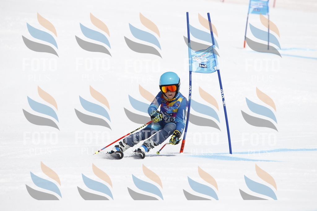 _U3G4608 | holidayphoto