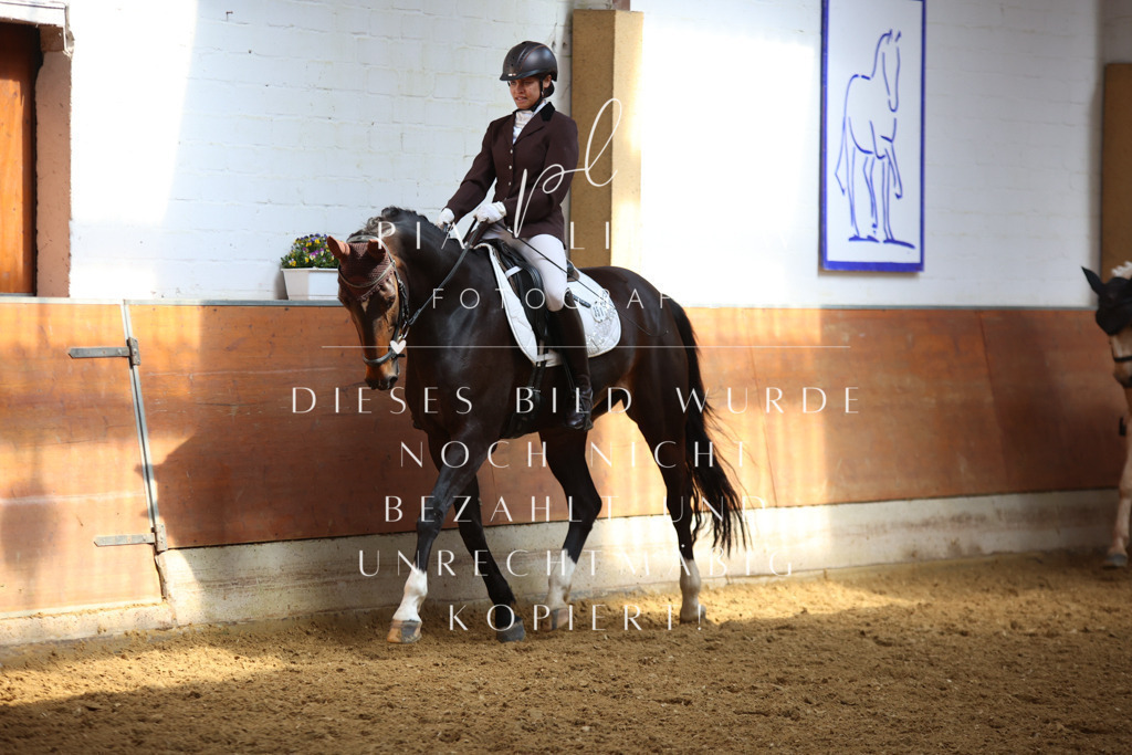 IMGT4896 | pl-fotografie