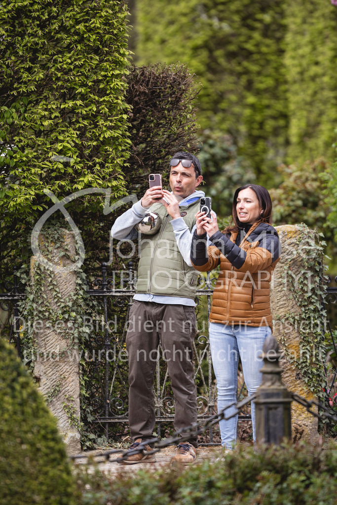 260412_Kronberg_S-Dressur-672 | Deine schönsten Turniermomente als professionelle Fotos! Entdecke hochwertige Pferdesport-Fotografie im Online-Shop. Jetzt Fotos finden & bestellen!