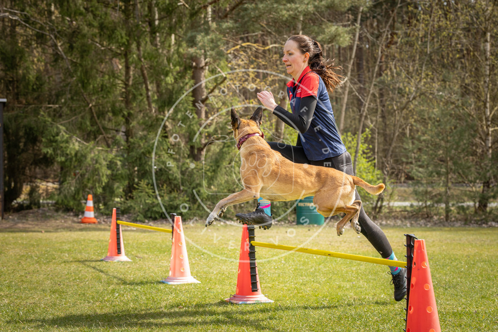 Pfotenfotografie_DV3A6440 | Hundefotografie, Tierfotograf, Pfotenfotografie, Fotoshooting Hund, Hunde Portrait, Hundesport, Hundeportraits, Heideshooting, Hunde, Sportfotograf, Hundefotograf, Turnierhundsport, THS,  - Realisiert mit Pictrs.com
