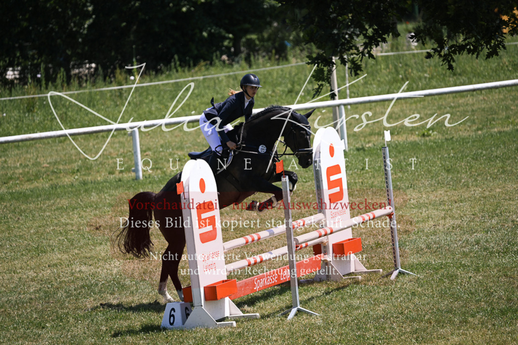 DSC_9916 | Pferde- und Turnierfotografie in Westsachsen. Pferdeportraits, Auftragszeichnungen und intuitive Kunst.