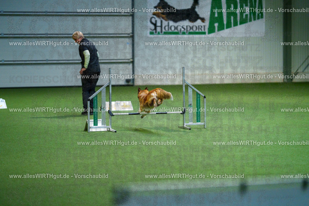 7R500735 | Professionelle Tierfotografie in Mönchengladbach von Daniel Wirth (allesWIRTHgut). Liebevolle & natürliche Bilder von Hunden & Katzen für unvergessliche Erinnerungen.