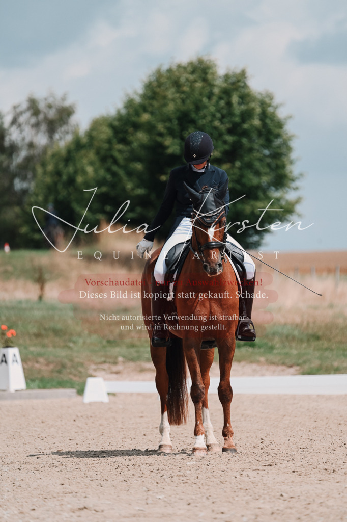 DSC_3837 | Pferde- und Turnierfotografie in Westsachsen. Pferdeportraits, Auftragszeichnungen und intuitive Kunst.