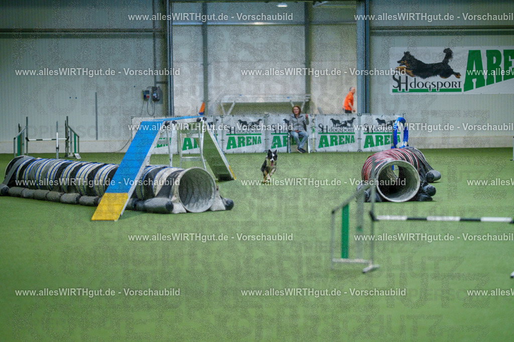 @allesWIRTHgut_Tierfotografie - www.allesWIRTHgut.de - 2604250817-7R506120 | Professionelle Tierfotografie in Mönchengladbach von Daniel Wirth (allesWIRTHgut). Liebevolle & natürliche Bilder von Hunden & Katzen für unvergessliche Erinnerungen.