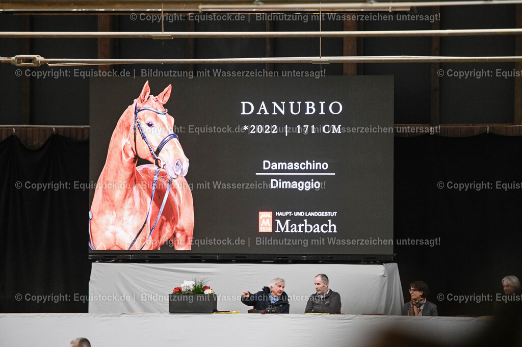 20260307_Hengstvorstellung-Marbach_0279 | equistock