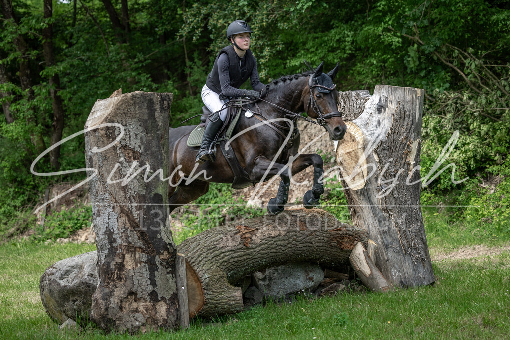 20260523-_3LI9604 | Tierfotografie Pferde, Hunde, Katzen, Haustiere.
Turnierfotografie Reitturniere, Reiten, Springreiten, Dressur in Hanau, dem Main-Kinzig-Kreis und dem Rhein-Main- Gebiet um Frankfurt