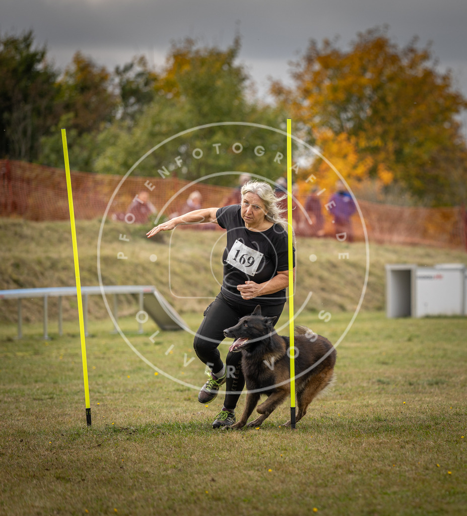 Pfotenfotografie_DV3A5821 | Hundefotografie, Tierfotograf, Pfotenfotografie, Fotoshooting Hund, Hunde Portrait, Hundesport, Hundeportraits, Heideshooting, Hunde, Sportfotograf, Hundefotograf, Turnierhundsport, THS,  - Realisiert mit Pictrs.com