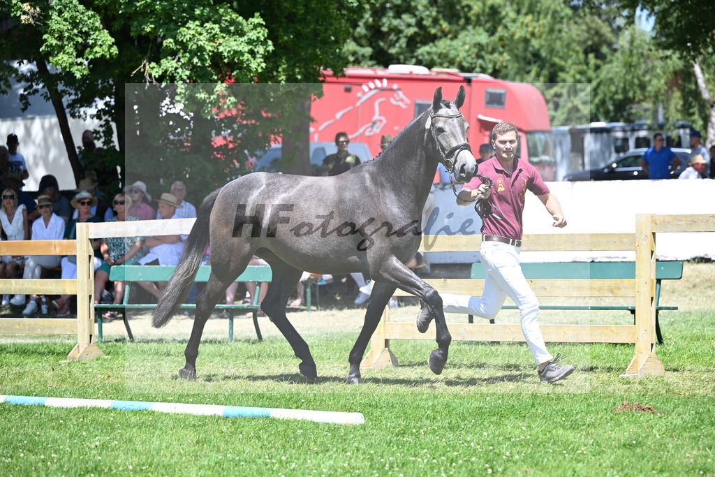 Kat-Nr. 20 Nischa F v. Vigaro_Fischer_19250450 | hf-fotografie - Realizzato con Pictrs.com