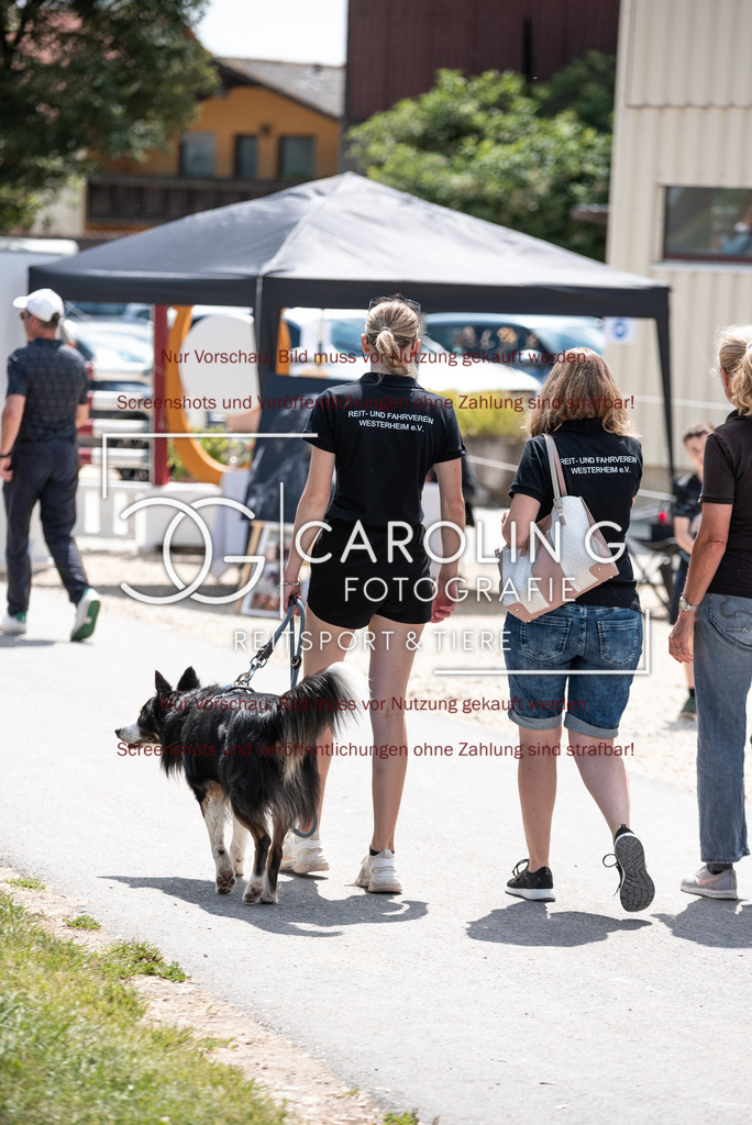 DSC_2137 | Turnierfotografin Carolin Gieschke, Turnierfotografie Carolin G Fotografie, Turnierfotos Kirchheim/Teck, Esslingen, Stuttgart, Bodenseekreis