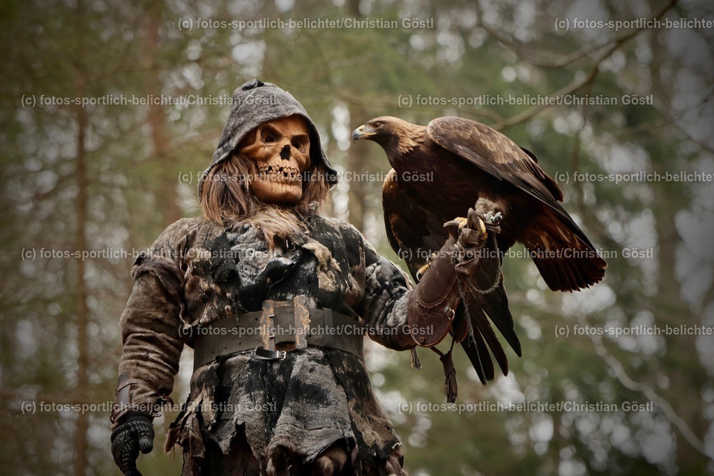 IMG_1696 | fotos-sportlich-belichtet - Realisiert mit Pictrs.com