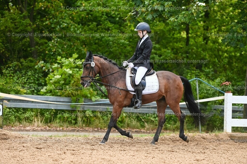 20230716_10-2_Reiter-WB Schritt - Trab - Galopp_0126 | equistock