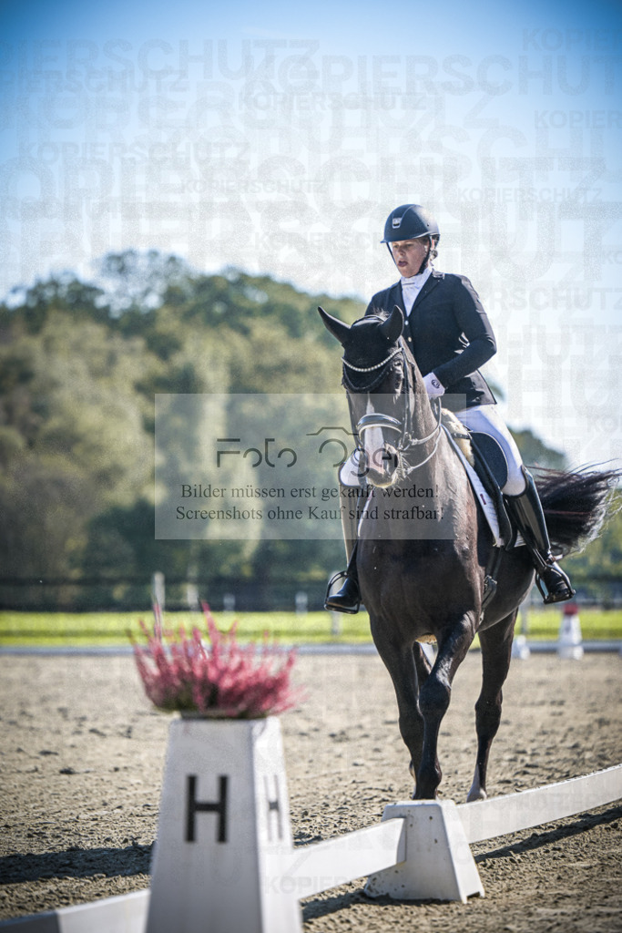 DOS_1916 | Entdecke hochwertige Reitturnierfotos von Foto Oger. Professionell, emotional und authentisch – jetzt Lieblingsmomente im Shop bestellen.Deutschlandweite Turnierfotografie. - Realisiert mit Pictrs.com