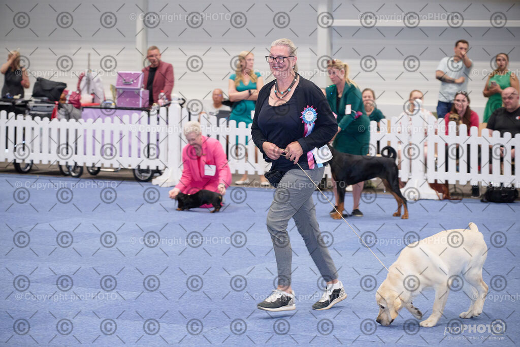 202406_ÖKV-IHA-Tulln24_NZ9_7765 | proPHOTO - Realisiert mit Pictrs.com