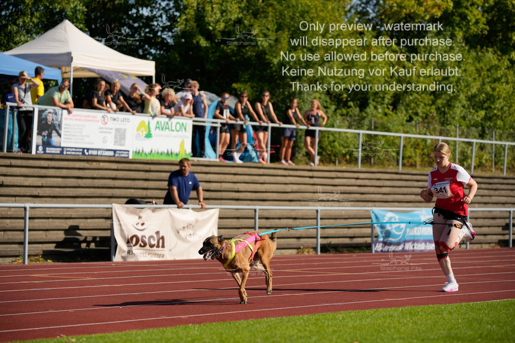 Sonntag_Staffel (22 von 336) | stephaniefillaphotographie - Realisiert mit Pictrs.com