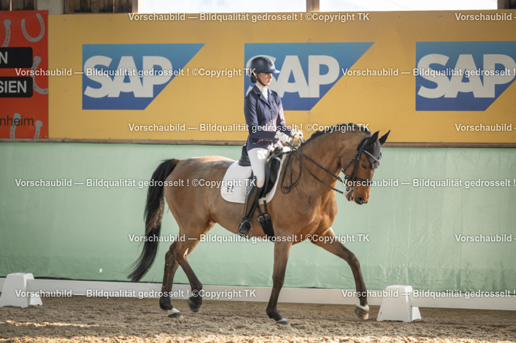 _D5A3172 | Emotionale Pferde- & People-Fotografie rund um Heidelberg, Leimen & Umgebung. Natürliche Fotos von Pferd, Mensch & Familie. Jetzt Termin sichern!