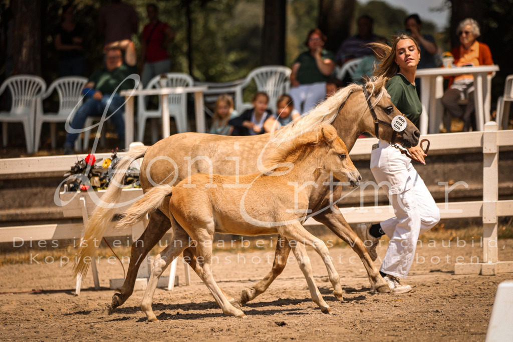 02.DoSR00035 | Leoni Ertmer Photography - Realisiert mit Pictrs.com