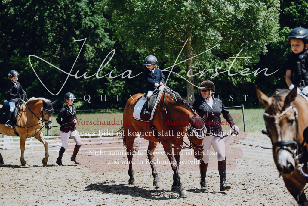 DSC_2601 | Pferde- und Turnierfotografie in Westsachsen. Pferdeportraits, Auftragszeichnungen und intuitive Kunst.