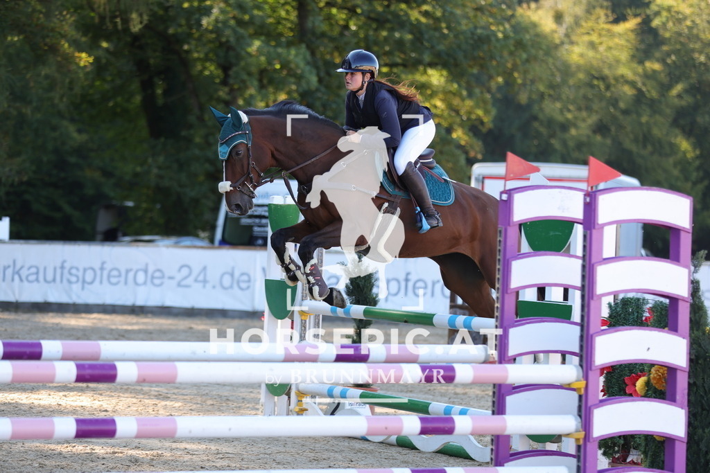 0P6A0798 | Willkommen bei Brunnmayr - Design & Fotografie – Ihrem Spezialisten für Reitturniere und Pferdeveranstaltungen in Oberösterreich, Salzburg und Bayern! Seit über 17 Jahren sind wir leidenschaftlich dabei.