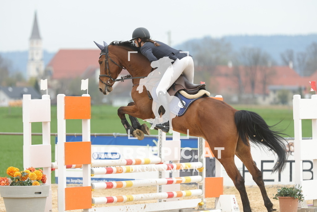 0P6A4034 | Willkommen bei Brunnmayr - Design & Fotografie – Ihrem Spezialisten für Reitturniere und Pferdeveranstaltungen in Oberösterreich, Salzburg und Bayern! Seit über 17 Jahren sind wir leidenschaftlich dabei.