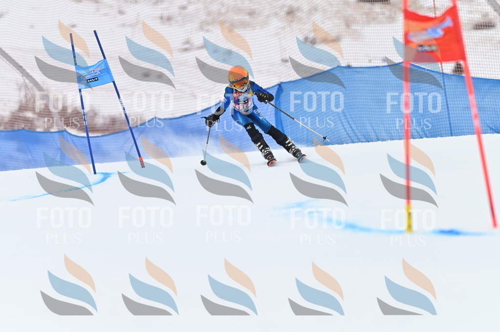 BGV_9692 | holidayphoto