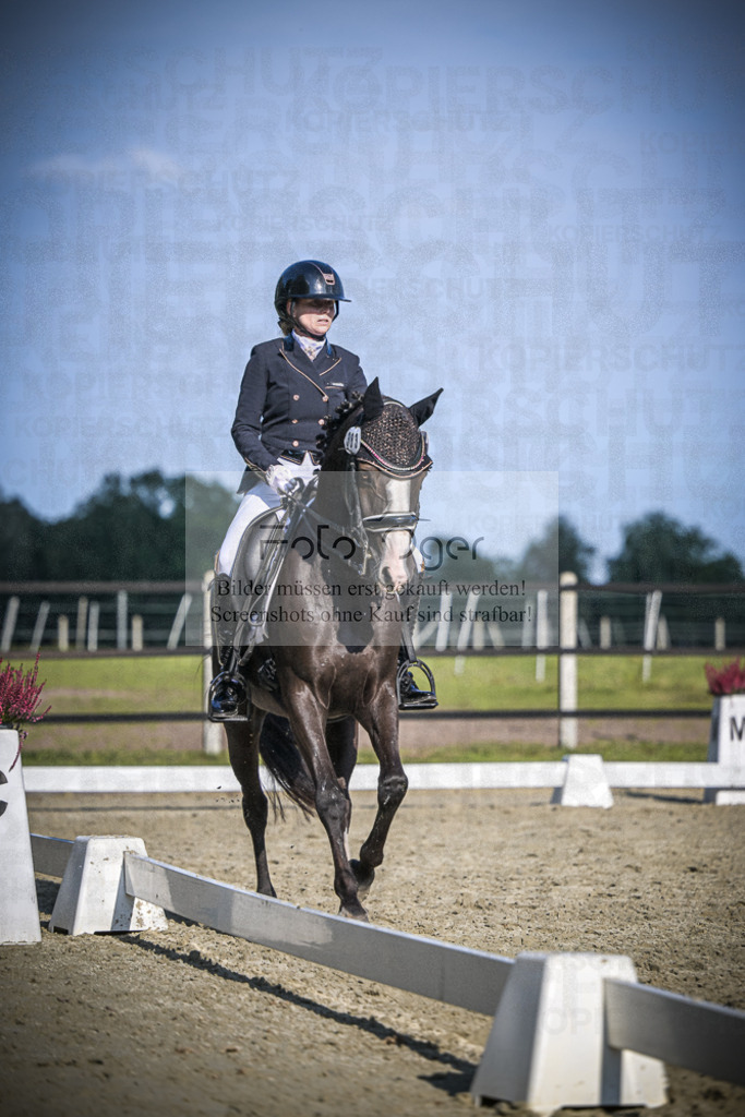 DOS_3319 | Entdecke hochwertige Reitturnierfotos von Foto Oger. Professionell, emotional und authentisch – jetzt Lieblingsmomente im Shop bestellen.Deutschlandweite Turnierfotografie. - Realisiert mit Pictrs.com