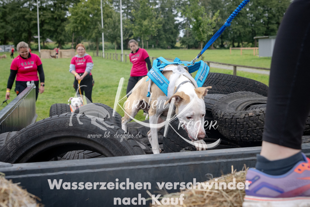 1221_ZZ90322 | kk-dogfotos