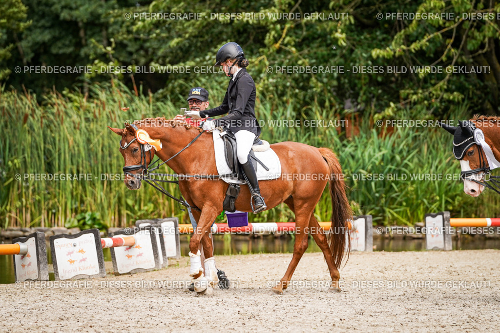 DSC02697 | Pferdegrafie