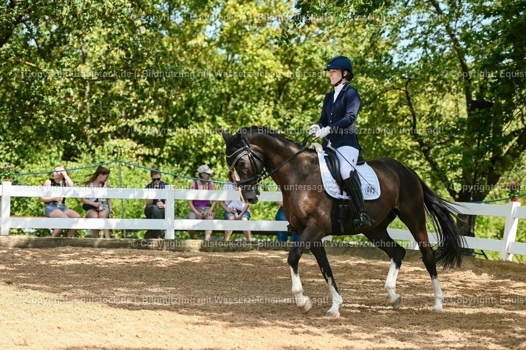 20230715_02_Dressurreiterprüfung Kl.L_0303 | equistock