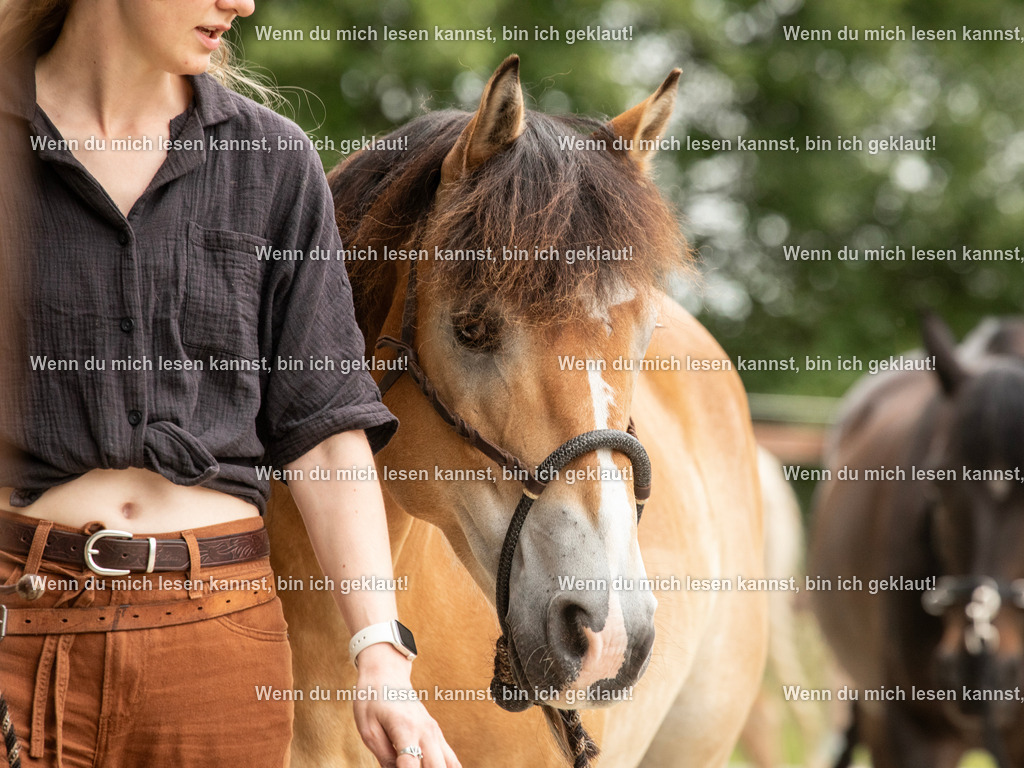 598A6335 | photographylinaismer - Realisiert mit Pictrs.com