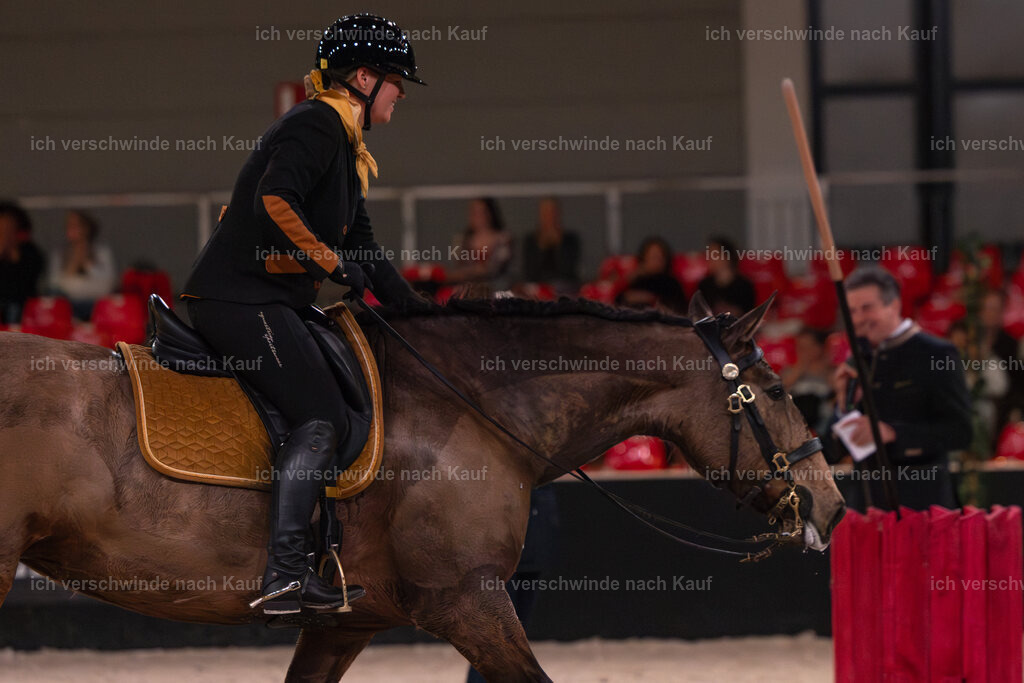 JoseraCup-66 | working equitationturnier fotograf videograf stoibphotography marixx film working equitation deutschland reitsport turnierfotografie eventfotografie equestrian events