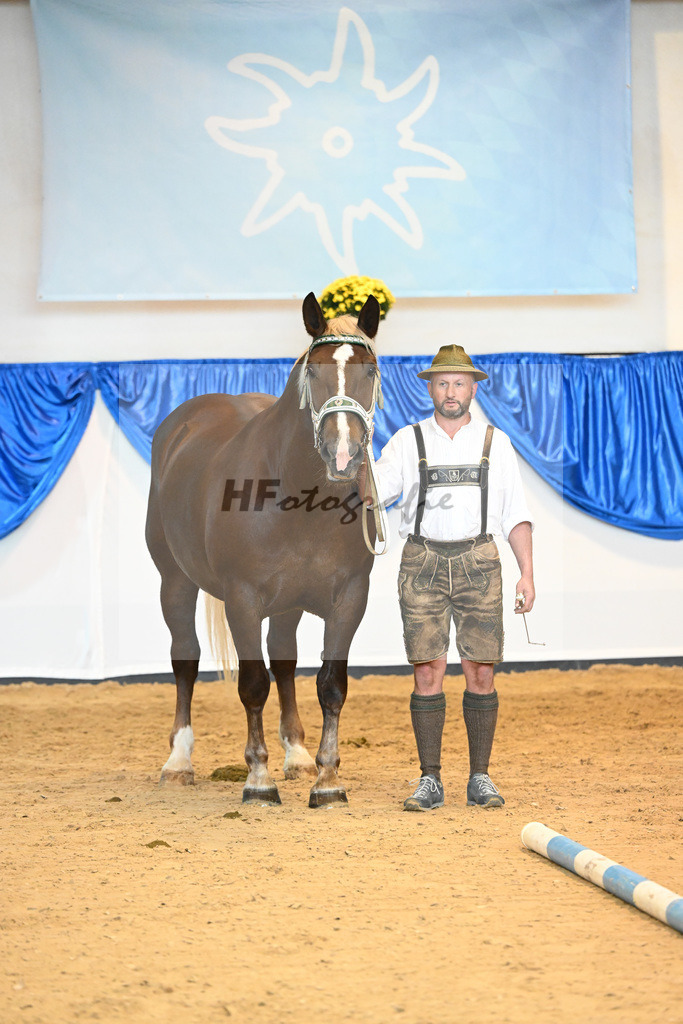 Kat-Nr. 56 Monamour_Buechl_53220163 | hf-fotografie - Realisiert mit Pictrs.com