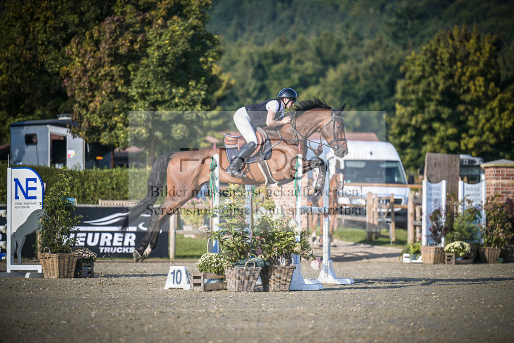 DOS_0707 | Entdecke hochwertige Reitturnierfotos von Foto Oger. Professionell, emotional und authentisch – jetzt Lieblingsmomente im Shop bestellen.Deutschlandweite Turnierfotografie. - Realisiert mit Pictrs.com