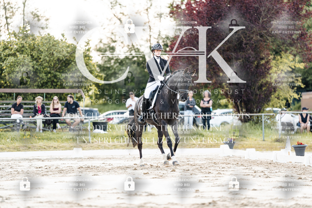 CK909438 | Turnierfotografie Pferdefotografie Trier Rheinland-Pfalz Pferdesport Reitsport Tierfotografie Sportfotografie Pferdevideo Pferdevideografie Equestrianvideography equestrianphotography  - Realisiert mit Pictrs.com