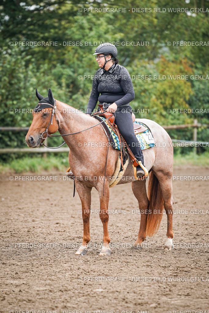 DSC01832 | Pferdegrafie