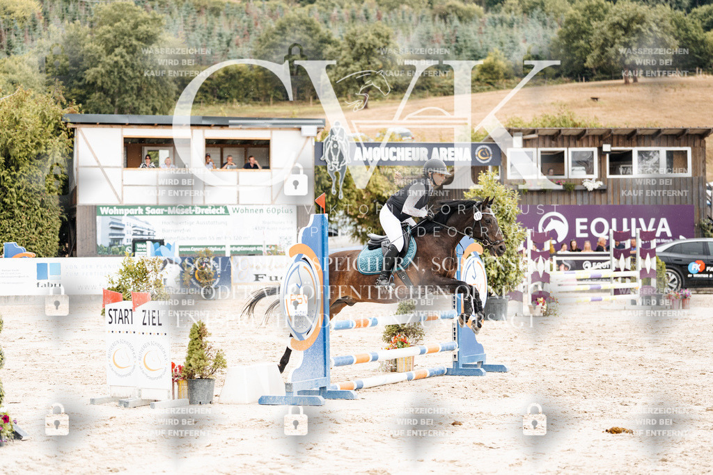 CK908786 | Turnierfotografie Pferdefotografie Trier Rheinland-Pfalz Pferdesport Reitsport Tierfotografie Sportfotografie Pferdevideo Pferdevideografie Equestrianvideography equestrianphotography  - Realisiert mit Pictrs.com