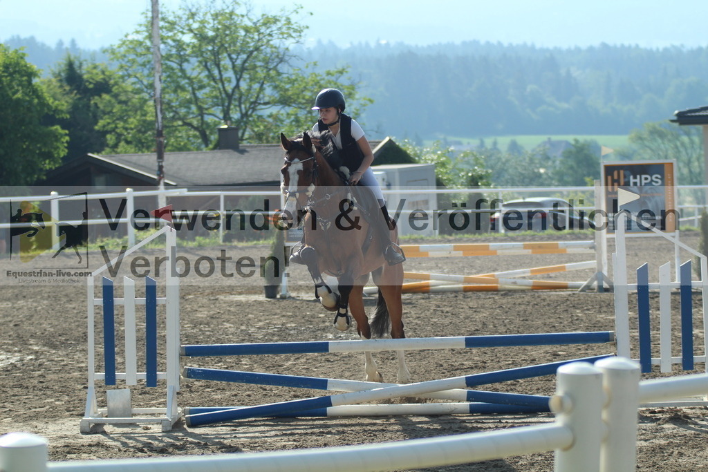 IMG_3045 | equestrian-live-com