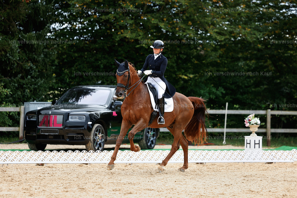 11-141-Dressur S___-Marixx-1839 | working equitationturnier fotograf videograf stoibphotography marixx film working equitation deutschland reitsport turnierfotografie eventfotografie equestrian events