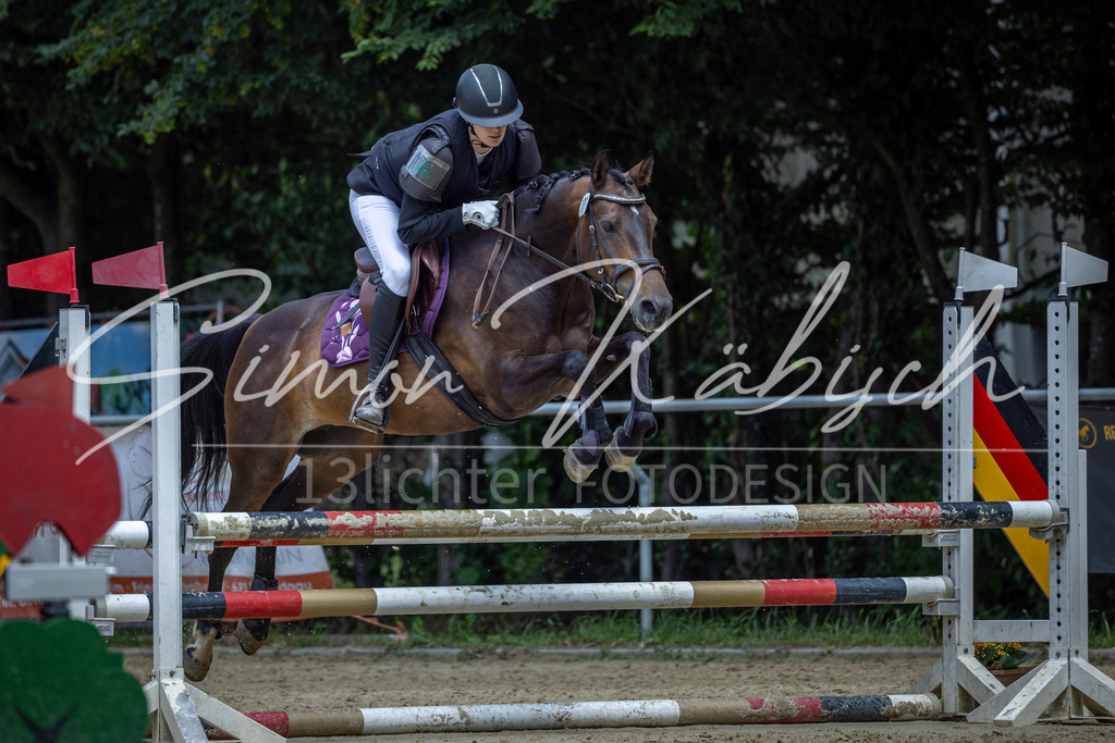 20260704-_3LI8952 | Tierfotografie Pferde, Hunde, Katzen, Haustiere.
Turnierfotografie Reitturniere, Reiten, Springreiten, Dressur in Hanau, dem Main-Kinzig-Kreis und dem Rhein-Main- Gebiet um Frankfurt