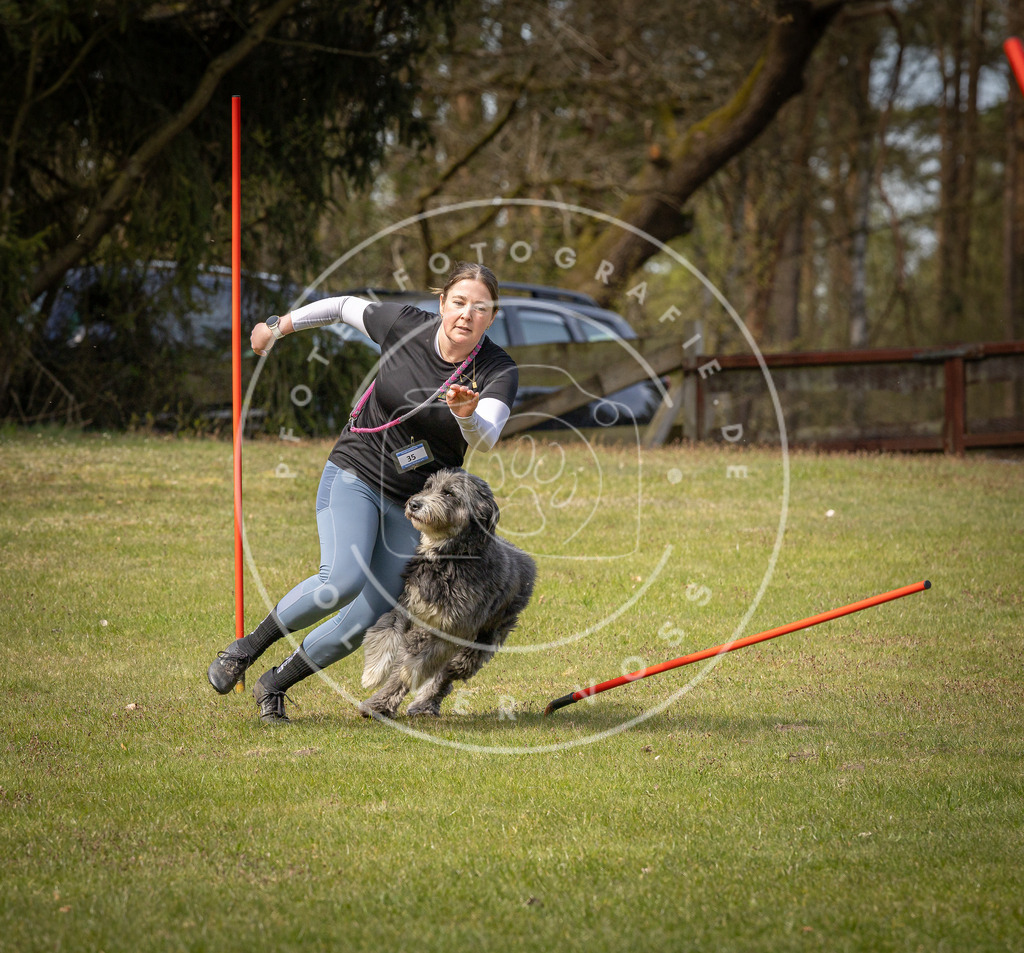 Pfotenfotografie_DV3A7351 | Hundefotografie, Tierfotograf, Pfotenfotografie, Fotoshooting Hund, Hunde Portrait, Hundesport, Hundeportraits, Heideshooting, Hunde, Sportfotograf, Hundefotograf, Turnierhundsport, THS,  - Realisiert mit Pictrs.com