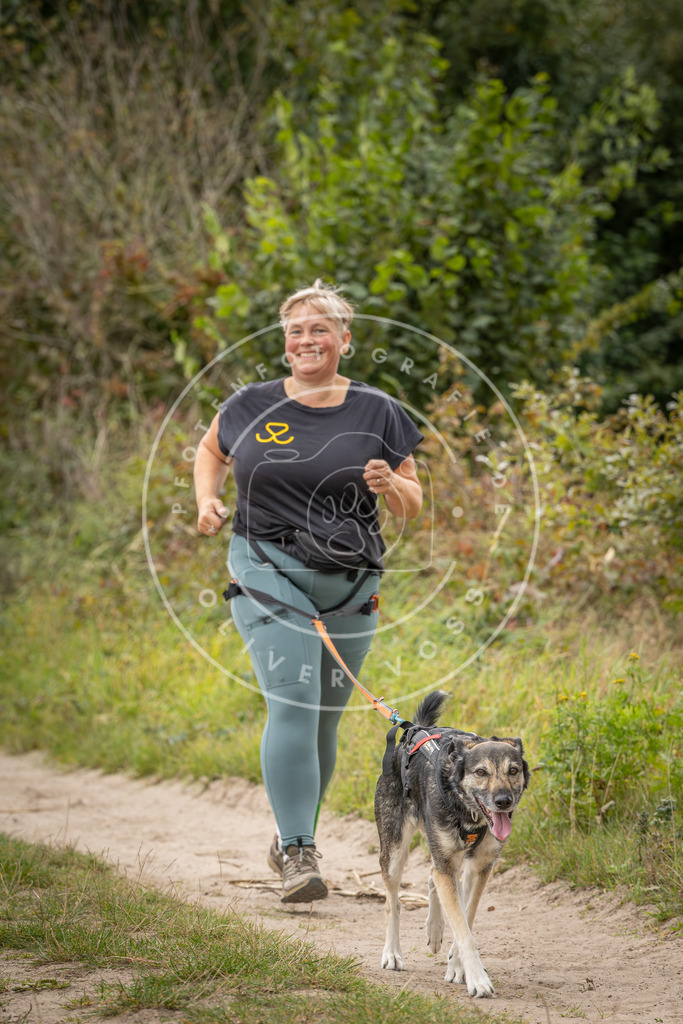 Pfotenfotografie_DV3A6396 | Hundefotografie, Tierfotograf, Pfotenfotografie, Fotoshooting Hund, Hunde Portrait, Hundesport, Hundeportraits, Heideshooting, Hunde, Sportfotograf, Hundefotograf, Turnierhundsport, THS,  - Realisiert mit Pictrs.com