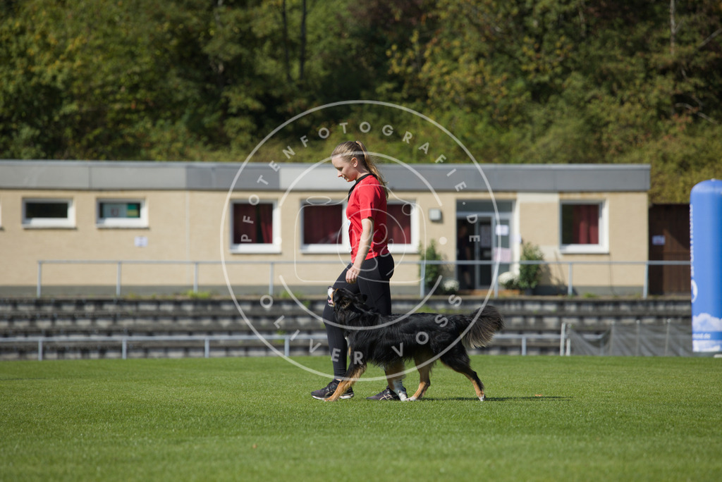 0L8A2565 | Hundefotografie, Tierfotograf, Pfotenfotografie, Fotoshooting Hund, Hunde Portrait, Hundesport, Hundeportraits, Heideshooting, Hunde, Sportfotograf, Hundefotograf, Turnierhundsport, THS,  - Realisiert mit Pictrs.com